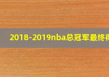 2018-2019nba总冠军最终得主