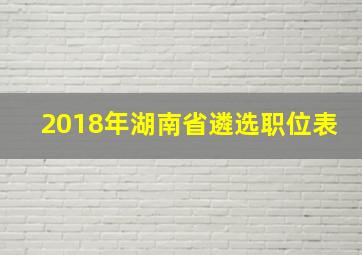 2018年湖南省遴选职位表