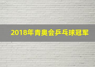 2018年青奥会乒乓球冠军