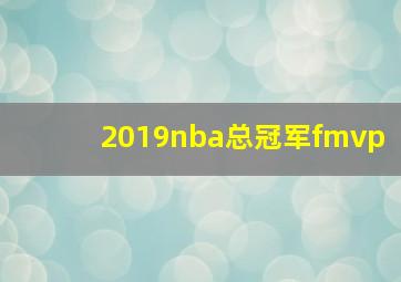 2019nba总冠军fmvp