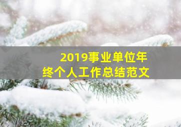 2019事业单位年终个人工作总结范文