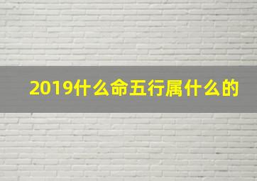 2019什么命五行属什么的