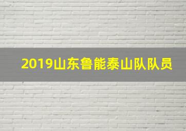 2019山东鲁能泰山队队员