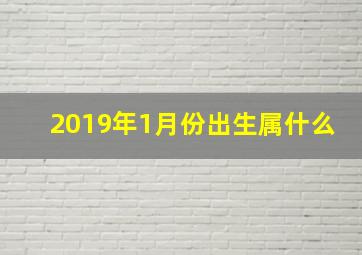 2019年1月份出生属什么