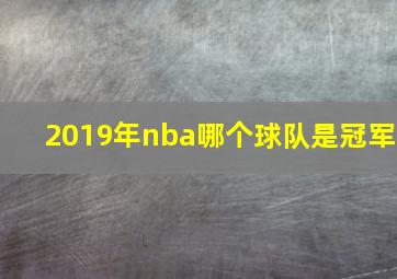 2019年nba哪个球队是冠军