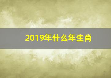 2019年什么年生肖