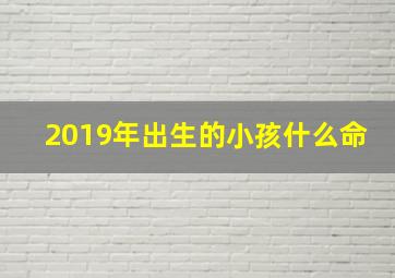 2019年出生的小孩什么命