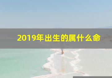 2019年出生的属什么命