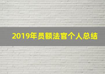 2019年员额法官个人总结