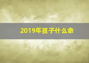 2019年孩子什么命