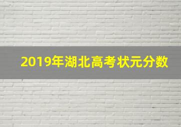 2019年湖北高考状元分数