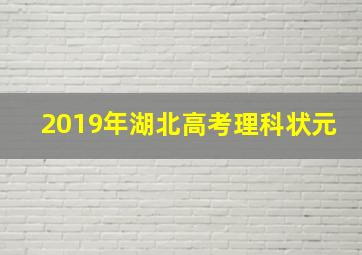 2019年湖北高考理科状元