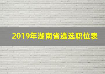 2019年湖南省遴选职位表