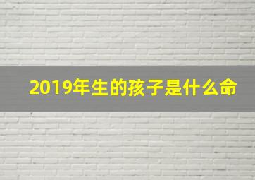 2019年生的孩子是什么命