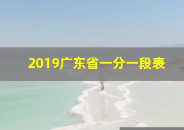 2019广东省一分一段表