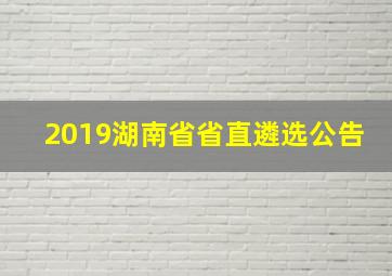 2019湖南省省直遴选公告