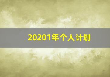 20201年个人计划