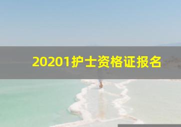 20201护士资格证报名