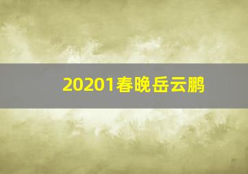 20201春晚岳云鹏