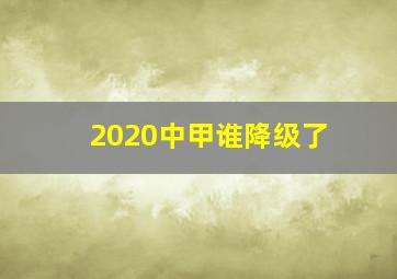 2020中甲谁降级了