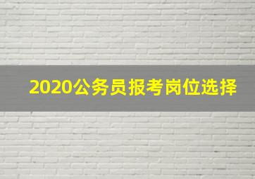 2020公务员报考岗位选择