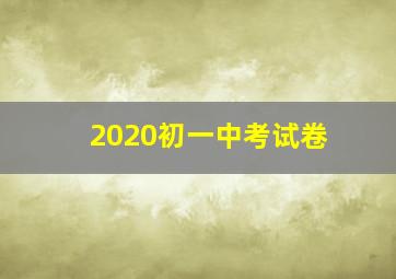 2020初一中考试卷