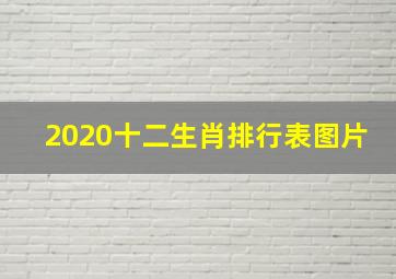 2020十二生肖排行表图片