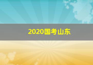 2020国考山东