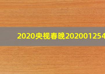 2020央视春晚202001254/4