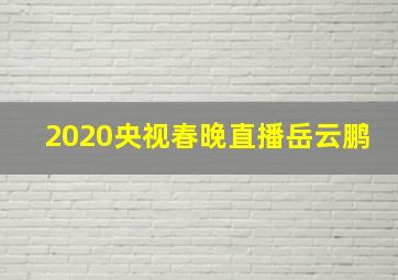 2020央视春晚直播岳云鹏