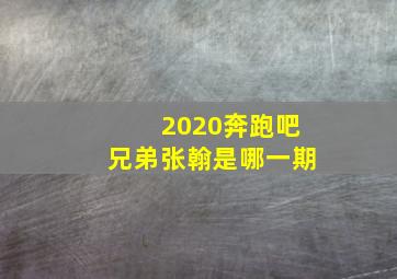 2020奔跑吧兄弟张翰是哪一期