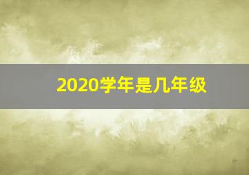 2020学年是几年级