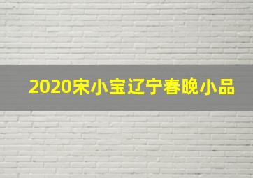 2020宋小宝辽宁春晚小品