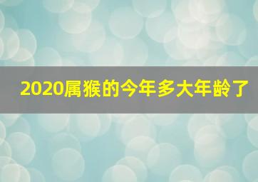 2020属猴的今年多大年龄了