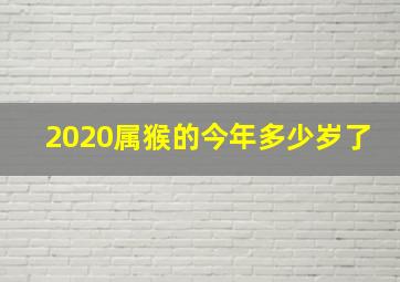 2020属猴的今年多少岁了