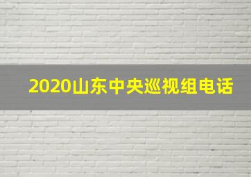 2020山东中央巡视组电话