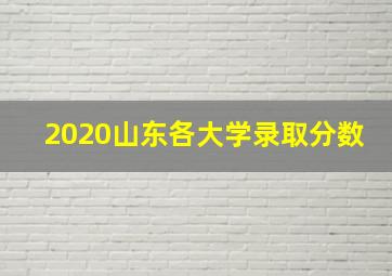 2020山东各大学录取分数