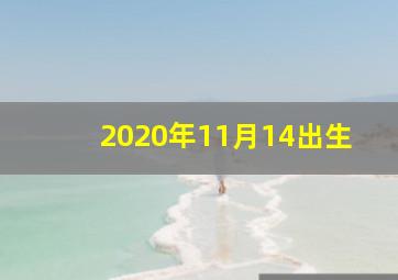 2020年11月14出生