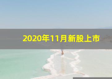 2020年11月新股上市