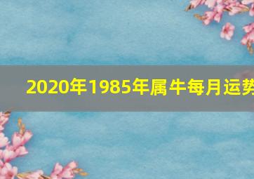 2020年1985年属牛每月运势