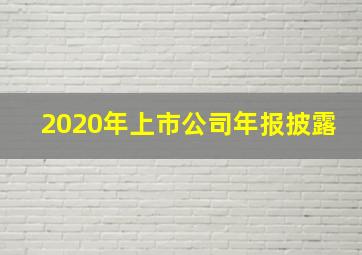 2020年上市公司年报披露