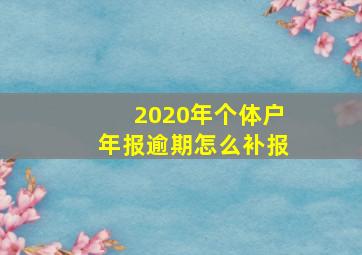 2020年个体户年报逾期怎么补报