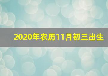 2020年农历11月初三出生