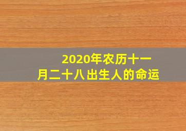 2020年农历十一月二十八出生人的命运