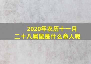 2020年农历十一月二十八属鼠是什么命人呢