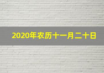 2020年农历十一月二十日