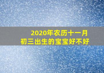 2020年农历十一月初三出生的宝宝好不好