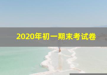 2020年初一期末考试卷