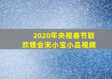 2020年央视春节联欢晚会宋小宝小品视频