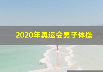 2020年奥运会男子体操